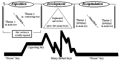 Sonata Form - Music Theory Notes