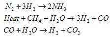 The Nitrogen Cycle - AP Environmental Science Formulas