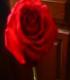 jesshunter10's picture